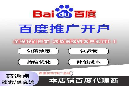 成本效益分析：百度推广月费案例